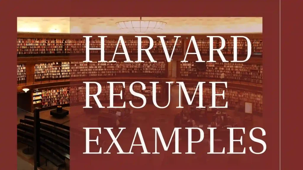 harvard resume examples