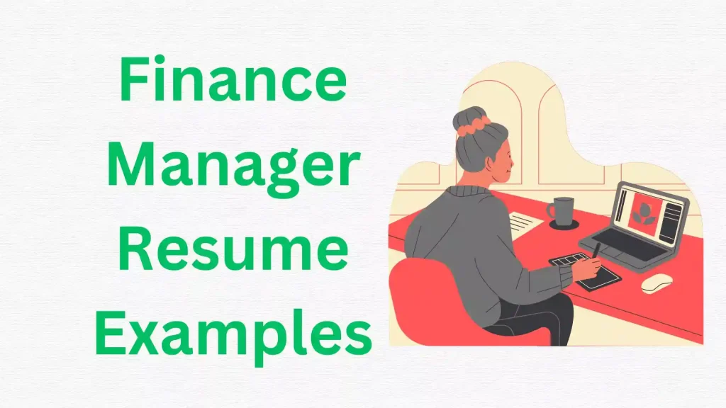 Finance Manager Resume