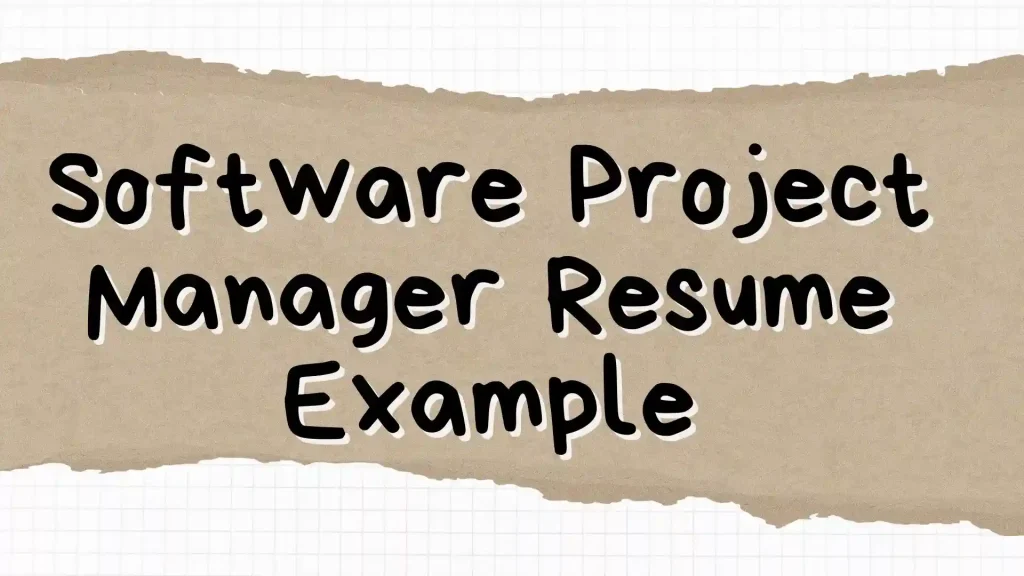 Software Project Manager Resume