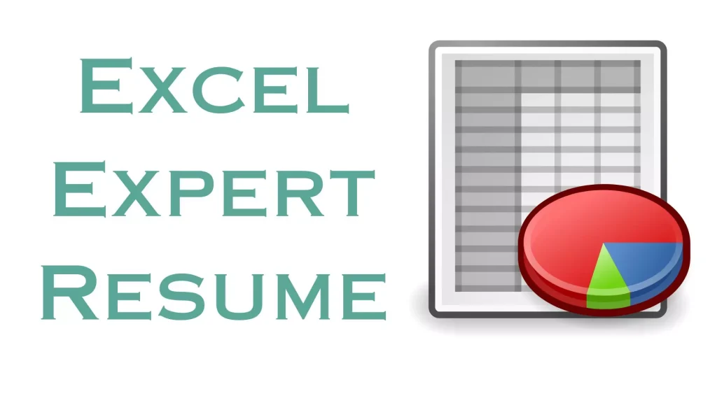 Excel Expert Resume