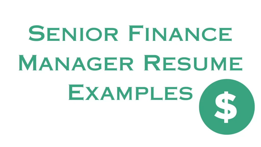 Senior Finance Manager Resume