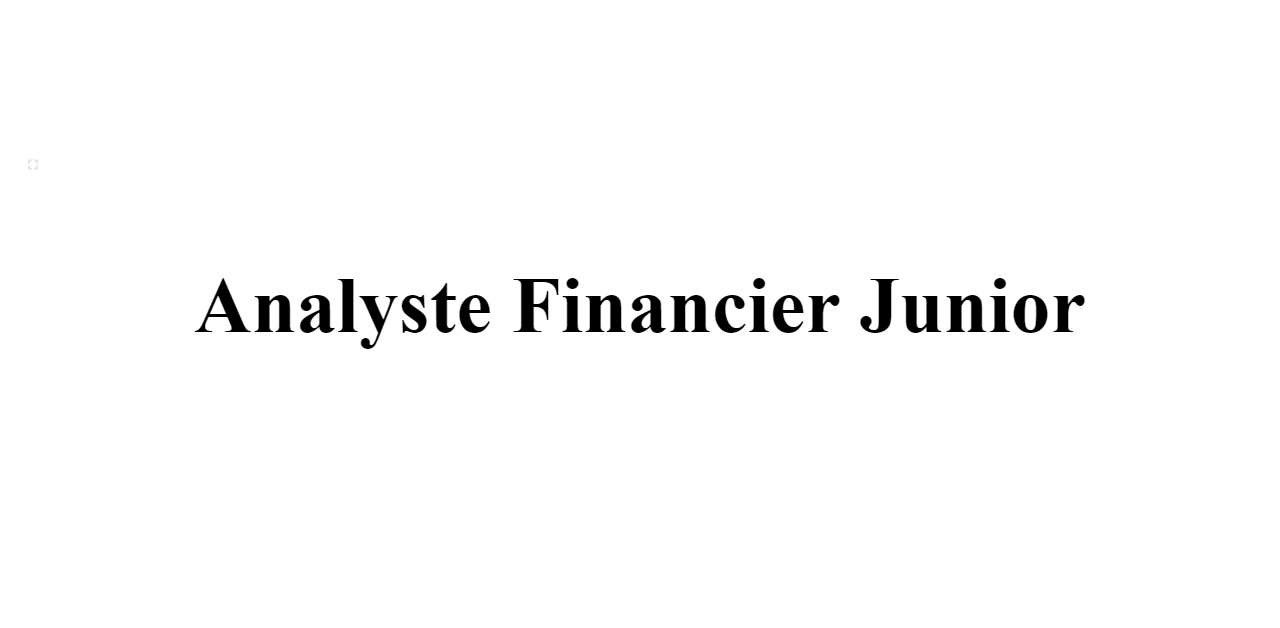 Analyste Financier Junior BuildFreeResume Com   Analyste Financier Junior Z 