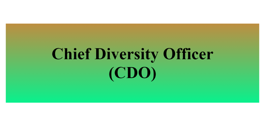 chief diversity officer