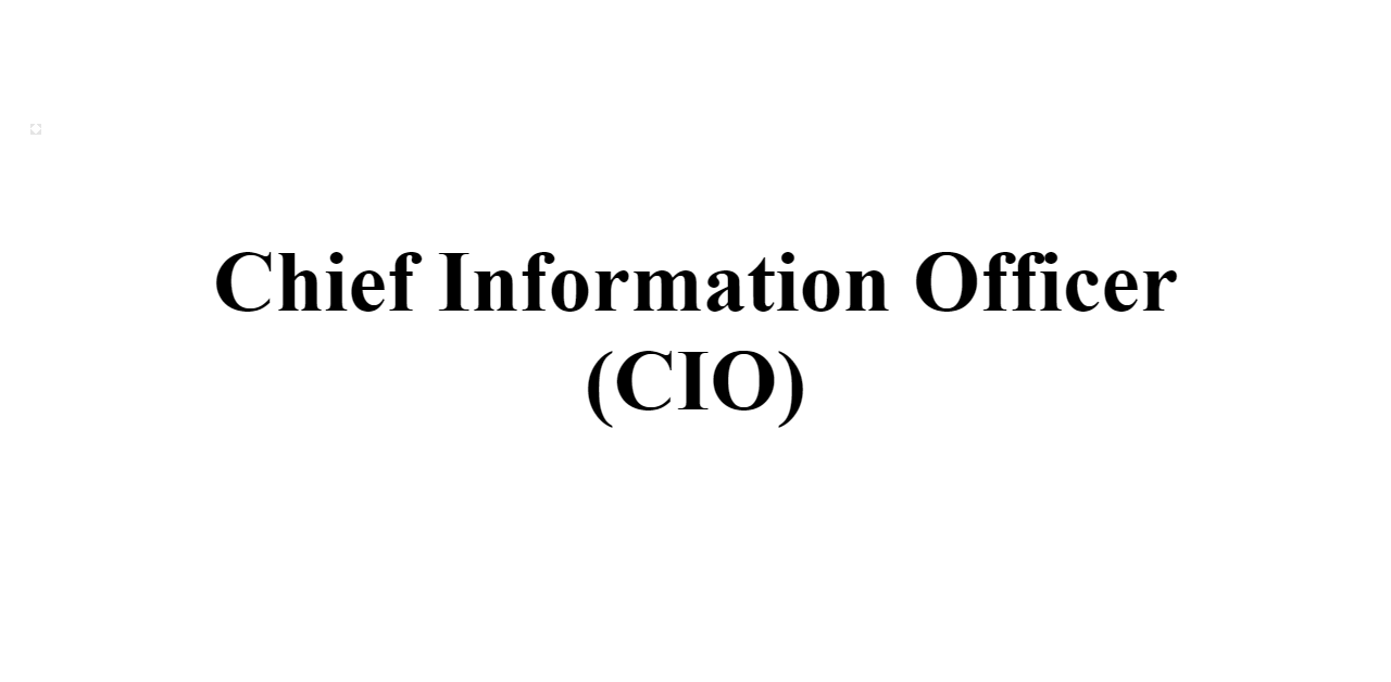 Chief Information Officer (CIO) - BuildFreeResume.com