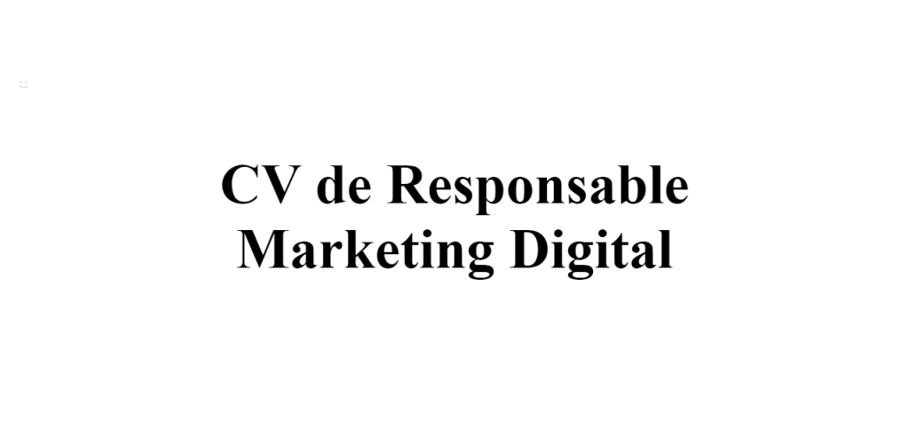 CV de Responsable Marketing Digital