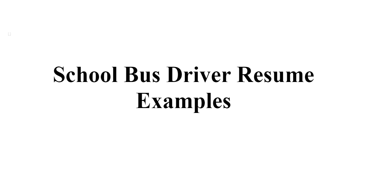 2023 School Bus Driver Resume Examples Build Free Resume   School Bus Driver Z 