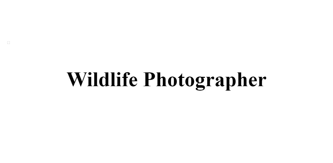 Wildlife Photographer - BuildFreeResume.com