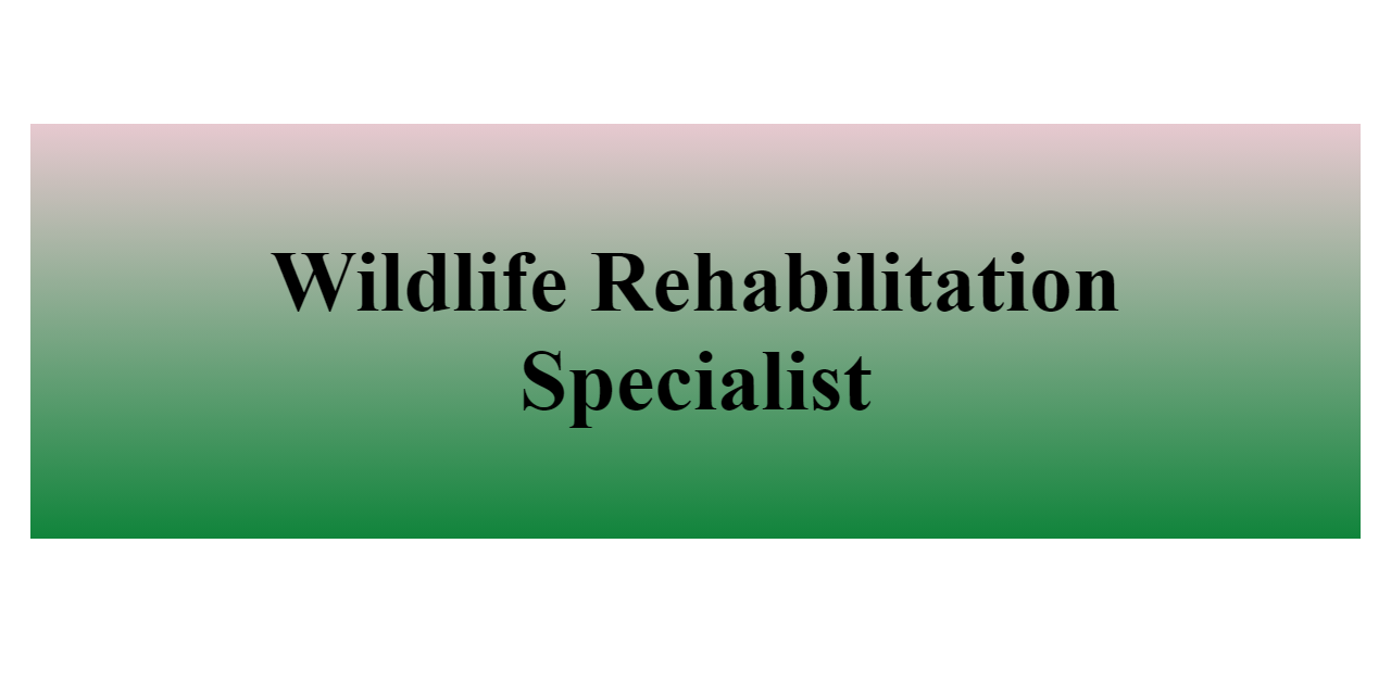 wildlife-rehabilitation-specialist-buildfreeresume