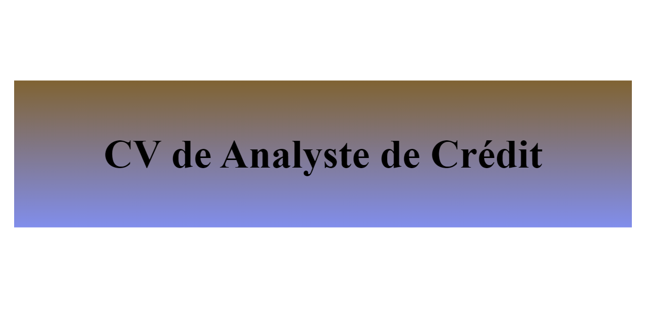 CV De Analyste De Cr Dit 2024 BuildFreeResume Com   Cv De Analyste De Credit Z 