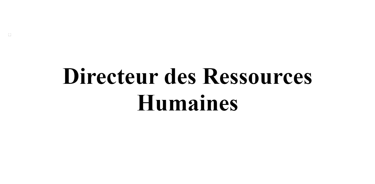 2024 Directeur Des Ressources Humaines